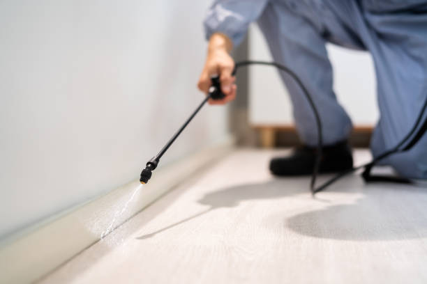 Licensed Pest Control service in South Boston, VA - Show Me Pest Control